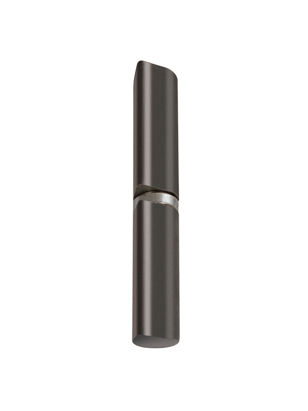 Петля Fuaro (Фуаро) приварная T120141 с подшипником (141х20 мм) (без фаски)